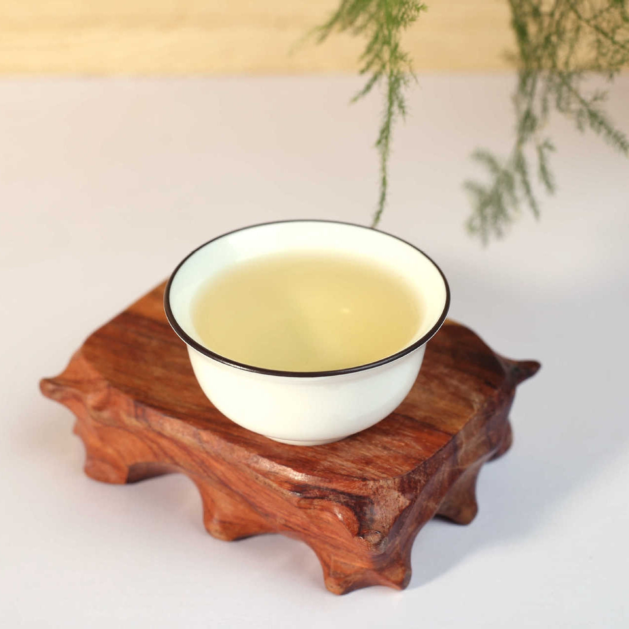 White Tea Bai hao yinzhen tea Chinese Kung Fu Tea