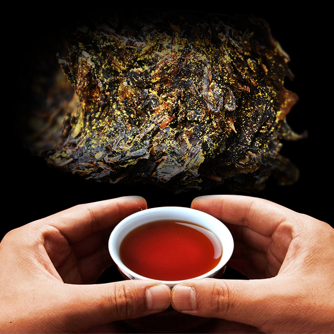 Dark Tea Fu zhuan Tea Chinese Kung Fu Tea