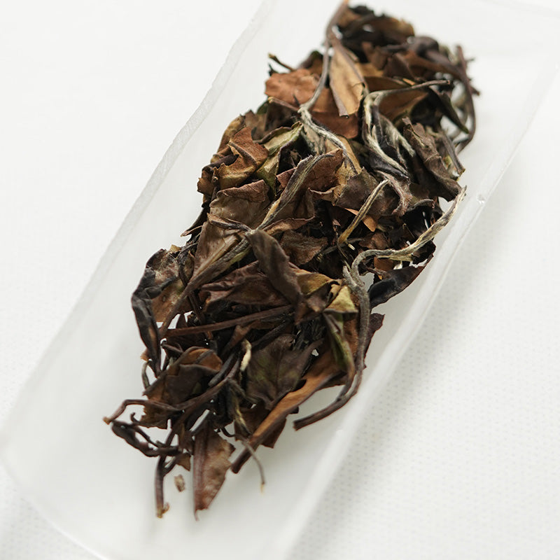 果甜寿眉 2016 Fruity-Sweet Shou Mei White Tea | 5g Single-Serve Pouch - description