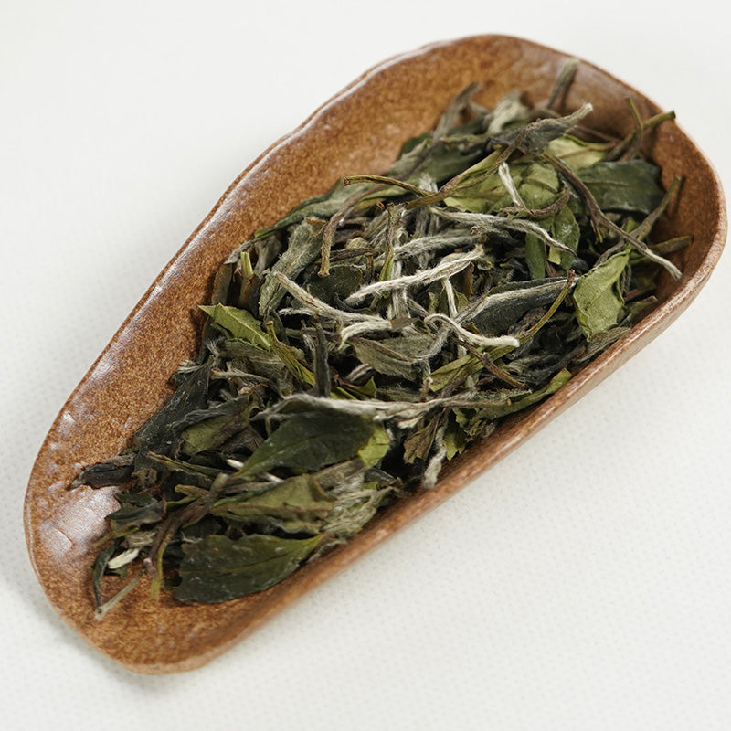 福鼎白茶 2022 Floral Peony White Tea | Fuding Bai Mudan | 5g Single-Serve Pouch - description