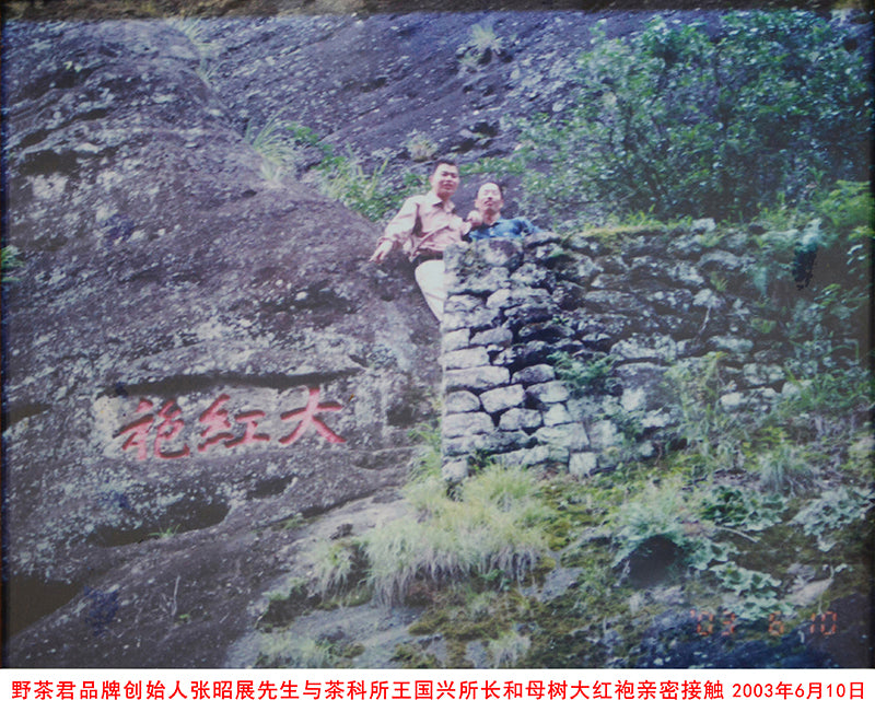 岩茶：大红袍
