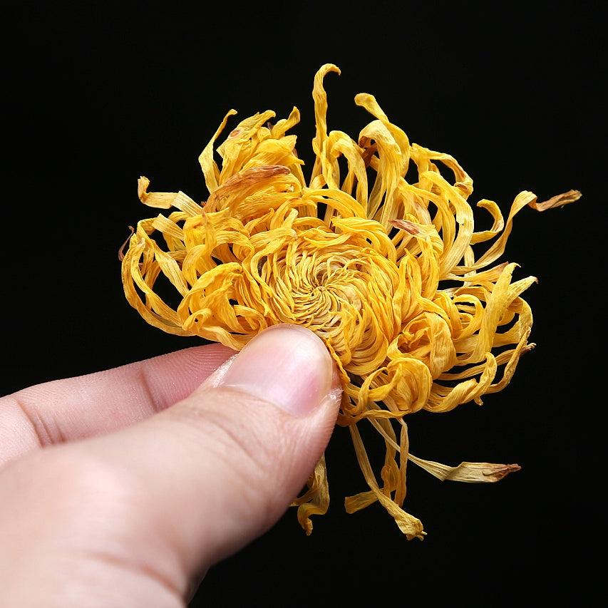 Té de flores Té de kung fu chino de crisantemo dorado